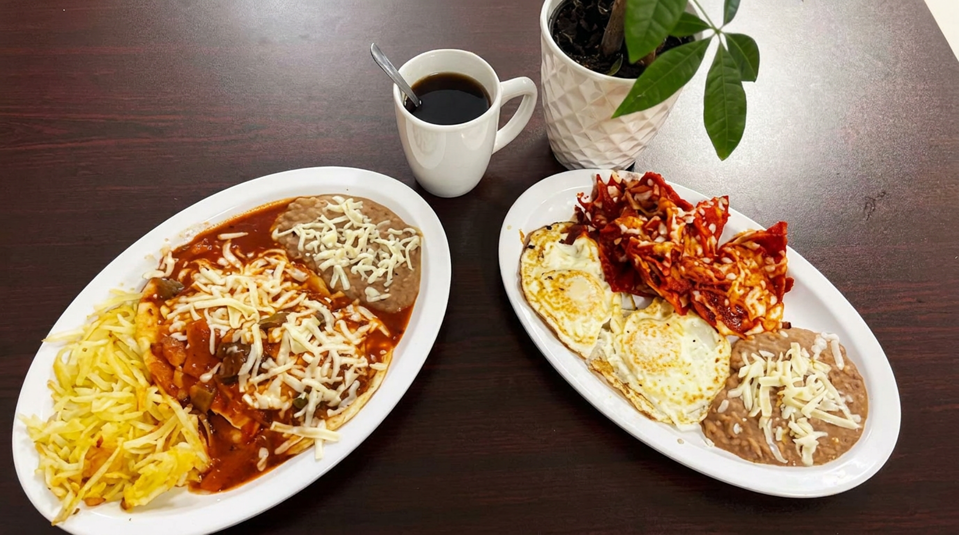 Chilaquiles for breakfast